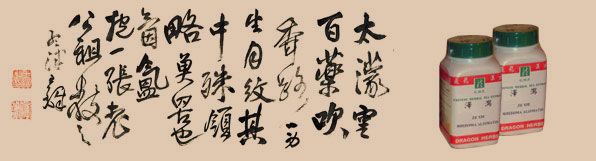 acupuncture and Chinese Medicine Houston tx